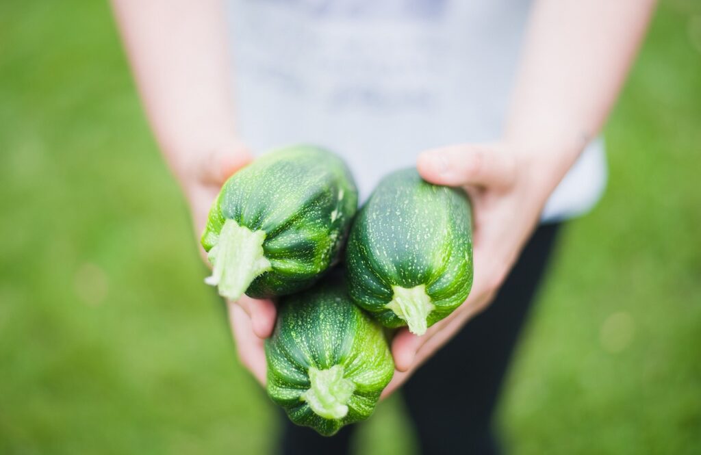 zucchinis-1869941_1280